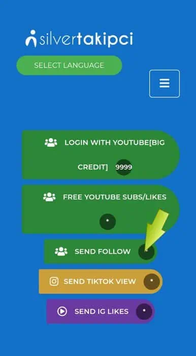 Instagram Followers