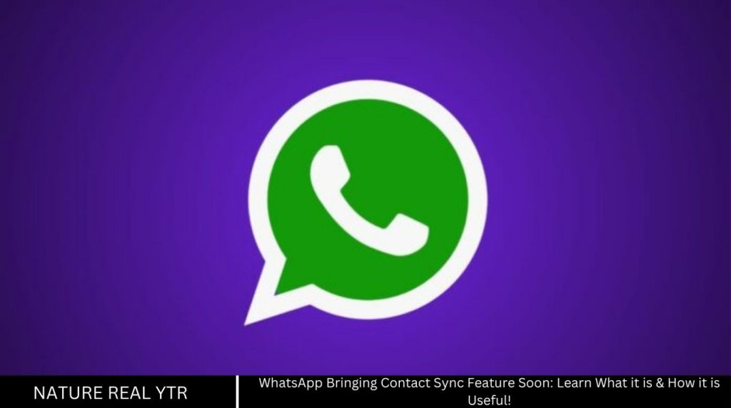 Contact Sync Feature